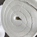 1260 C Coprita in fibra in ceramica isolante